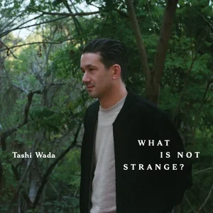 『What Is Not Strange?』Tashi Wadaアートワーク