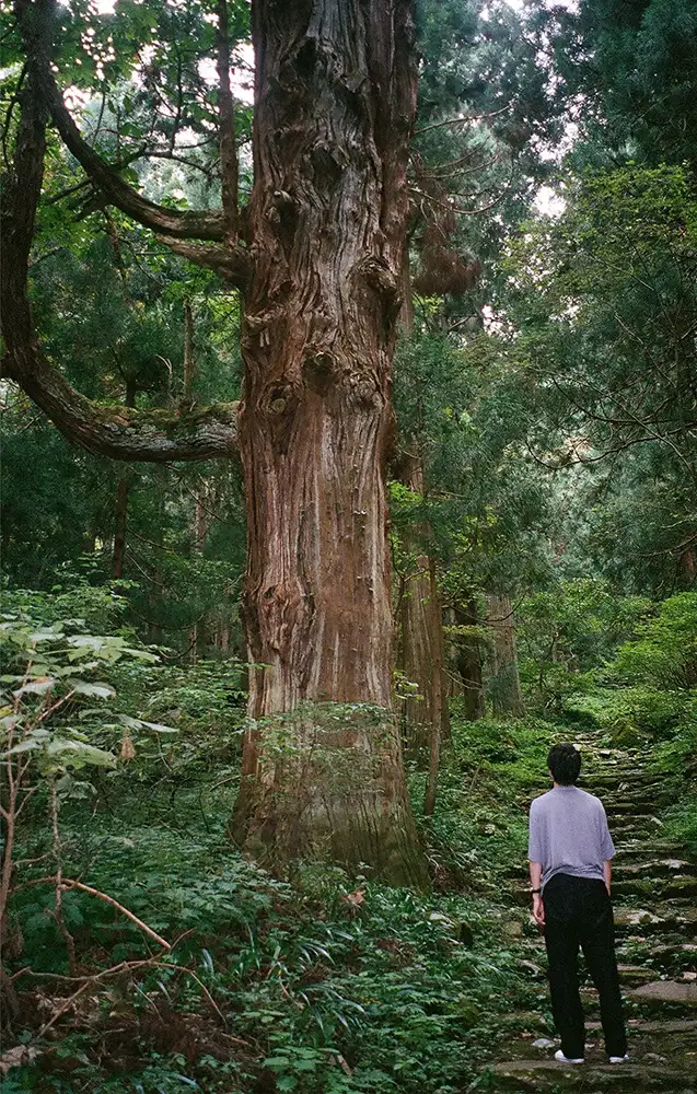 冬山登山アー写