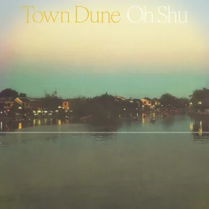 『Town Dune』王舟アートワーク