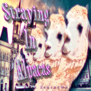 「Straying In Alpacas」市川空アートワーク