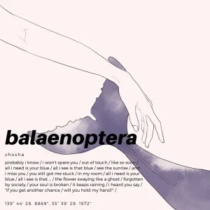 「balaenoptera」shohsaアートワーク