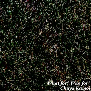 『What for? Who for?』Chuya Kamoiアートワーク