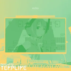 「echo (TEMPLIME Remix)」higma & TEMPLIMEアートワーク