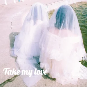 「Take my love」periwinklesアートワーク