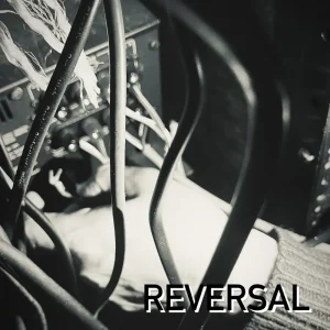 「Reversal」YBSRZ a.k.a. Mr. dirtyアートワーク