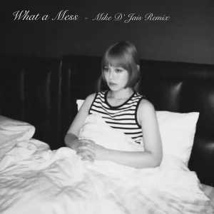 「What a Mess(Mike D' Jais Remix)」Uilouアートワーク