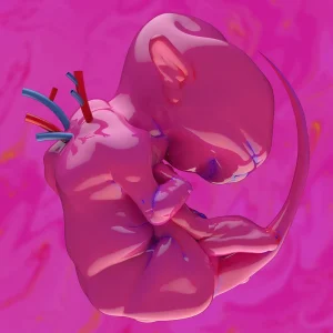 『ekkolaptómenos』春ねむりアートワーク