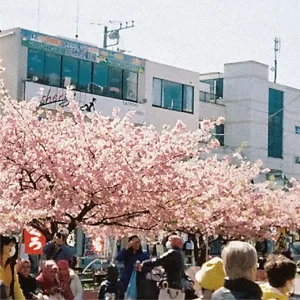 『葬儀屋の娘』工藤祐次郎アートワーク