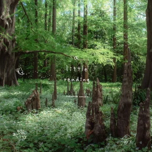 『a little reading』 ハク亜キッズアートワーク
