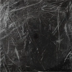 「本能」/ ヒビキアートワーク