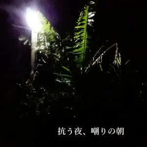 『抗う夜、嘲りの朝』ヘントナー大佐アートワーク