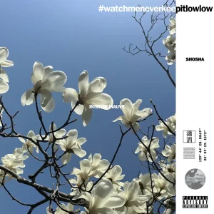 「INTENSE MAUVE」shoshaアートワーク