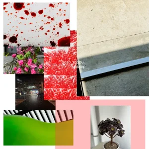 「gozo_roppu」slololisアートワーク