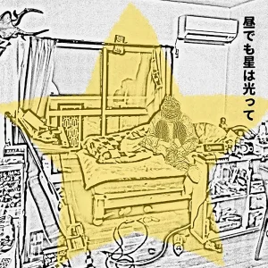 「昼でも星は光って-Live at Utero,Fukuoka,Japan,2024(Bootleg)」奏人心アートワーク