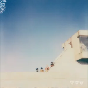 『Where They Dwell』TAMTAMアートワーク