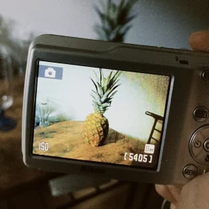 「Pineapple」Uilouアートワーク