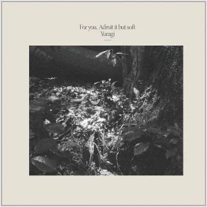 『For you, Adroit it but soft』揺らぎアートワーク