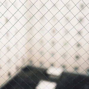 『In Your Languages』揺らぎ