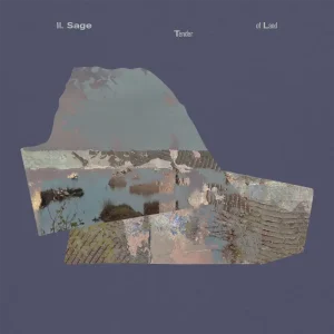 「Tender of Land」アートワーク