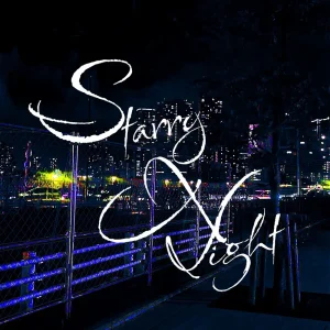 「Starry Night」FlipHighアートワーク