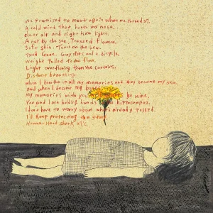 『27℃』Hammer Head Sharkアートワーク