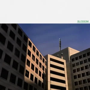 「BLOSSOM」/ 燻アートワーク