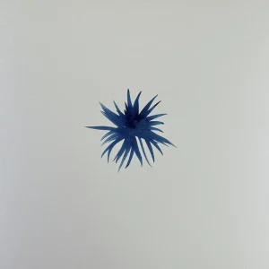 「The Sky Where We Cried」 Yasuaki Ishikawaアートワーク