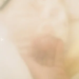 「te」/ NERDSアートワーク