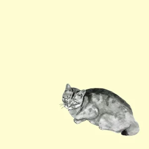 「ewan」/ NORTHFIELDアートワーク