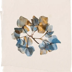 「Sleep with Nature」Wataru Fujiwaraアートワーク