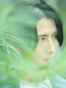 Pictured Resortアー写