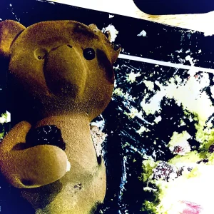 ベントラーカオルアルバムアートワーク