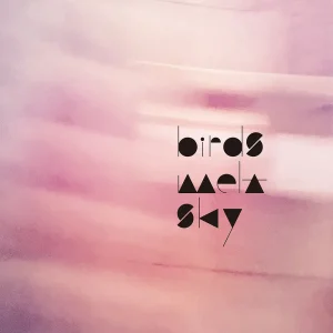 「YUHA」birds melt skyアートワーク