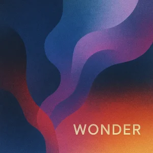 「WONDER」/ Coldhot, Eryyyアートワーク