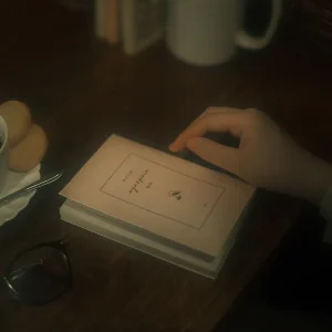 「synopsis」終日柄アートワーク