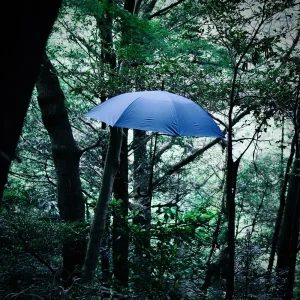 「秘密基地」/ Heavenstampアートワーク