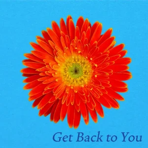 「Get Back to You」in the blue shirtアートワーク