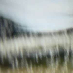 「US」/ kolksアートワーク