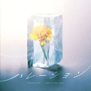 「ハレーション」ナツノコエアートワーク