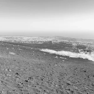 「誰もが帰りたい、その後」onettアートワーク