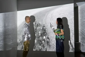 Small Circle of Friendsアー写