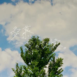 「愛慕、夏の記憶。」夙夜めんアートワーク