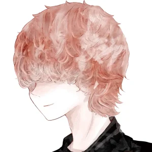 沙レフアーティストイメージ