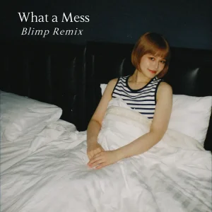 「What a Mess(Blimp Remix)」Uilouアートワーク