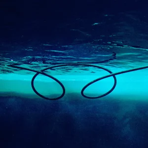 「24」/ YOMOYAアートワーク