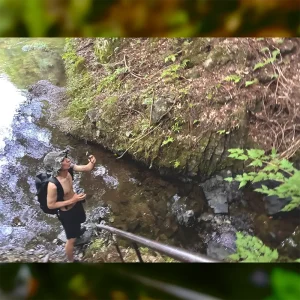 Free Babyroniaアー写