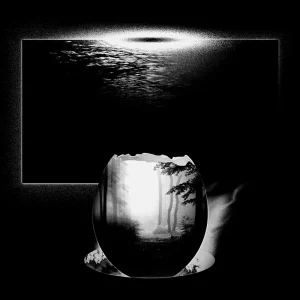 『Rebirth』 Hoshina Anniversaryアートワーク