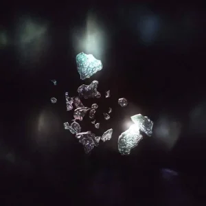 「Hours」Selkieアートワーク