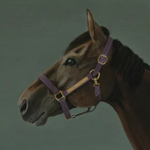 KNRS1004アートワーク