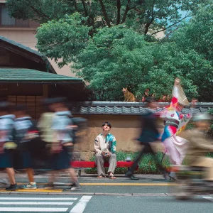 『ぼちぼちいきましょう』 blend houseアートワーク